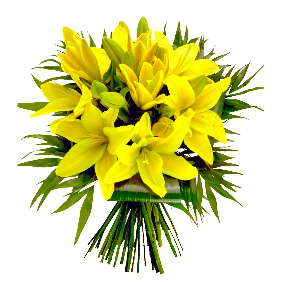 Купить лилии с доставкой. Букет "желтые лилии". Фанбург лилии. Лилия желтая тюльпановидная. Лилии цветы жёлтые букет.
